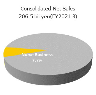 ナース関連事業の円グラフです。
