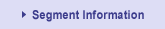 Segment Information