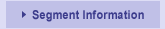 Segment Information