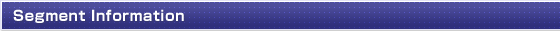 Segment Information
