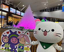 上尾イルミネーション