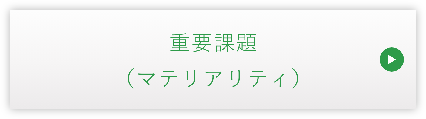 主要実践項目