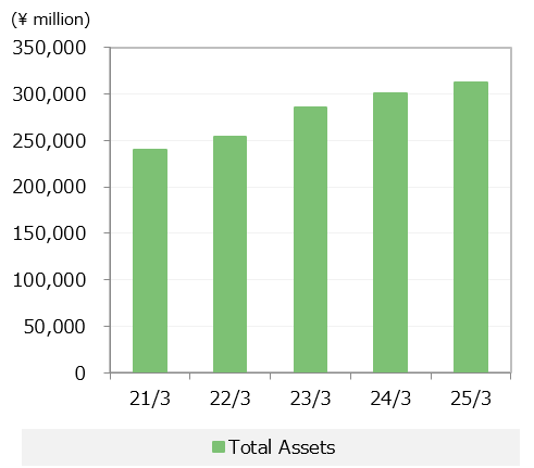 Total Assets