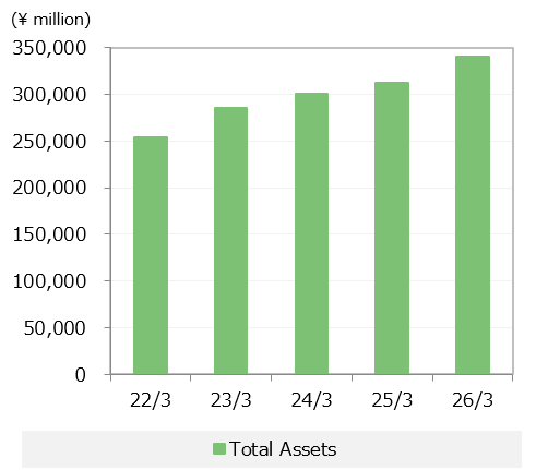 Total Assets