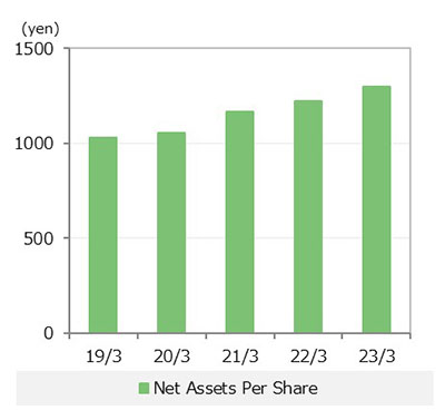 Net Assets Per Share