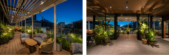 Rooftop Bar piro ginza